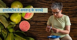 рдбрд╛рдпрдмрд┐рдЯреАрдЬ рдкреЗрд╢реЗрдВрдЯ рдХреЗ рд▓рд┐рдП рдмреЗрд╣рдж рдлрд╛рдпрджреЗрдордВрдж рд╣реИ рдЕрдорд░реВрдж рдЦрд╛рдирд╛, рдЬрд╛рди рд▓реЗрдВ рдЗрд╕рдХреЗ рдлрд╛рдпрджреЗ рдЬреЛ рдХрд░ рджреЗрдВрдЧреЗ рд╣реИрд░рд╛рди