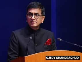 What Inspired CJI DY Chandrachud To Go Vegan For Life? Know The Health Benefits Of A Vegan Lifestyle