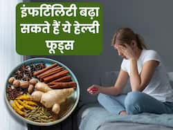 कर रहे हैं बेबी प्लान तो ना खाएं ये 3 फूड्स, हेल्दी होकर भी ये फर्टिलिटी कर देंगे कम