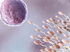 Fertility Boost: 7 Food Items That Can Improve The Quality Of Your Egg