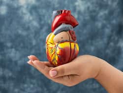 These 5 High Protein Foods Will Take Care Of Your Heart Health