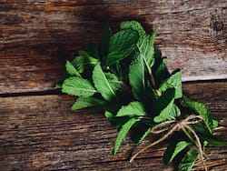 Acidity, Bloating And Constipation: These 3 Ancient Herbs Work Like Tonic For The Stomach