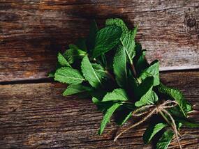 Acidity, Bloating And Constipation: These 3 Ancient Herbs Work Like Tonic For The Stomach