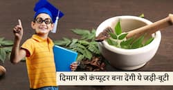 दिमाग को कंप्यूटर की तरह तेज कर देंगी ये आयुर्वेदिक जड़ी-बूटियां, बच्चों और बड़ों सबके लिए फायदेमंद