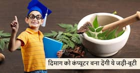 दिमाग को कंप्यूटर की तरह तेज कर देंगी ये आयुर्वेदिक जड़ी-बूटियां, बच्चों और बड़ों सबके लिए फायदेमंद