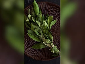 Curry Leaves Health Benefits: 6 Reasons To Drink Kadi Patta Detox Water On Empty Stomach