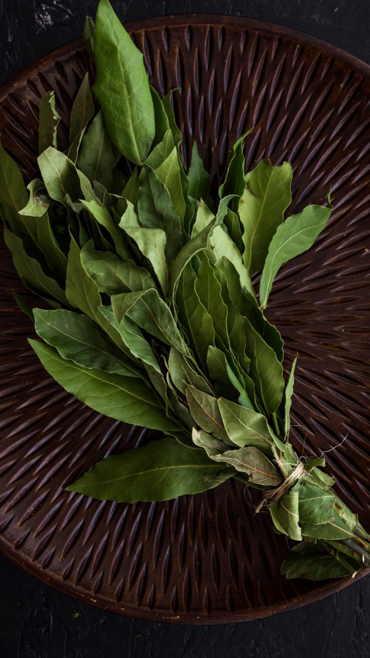 Curry Leaves Health Benefits: 6 Reasons To Drink Kadi Patta Detox Water On Empty Stomach
