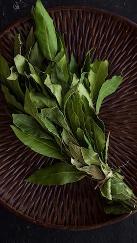 Curry Leaves Health Benefits: 6 Reasons To Drink Kadi Patta Detox Water On Empty Stomach