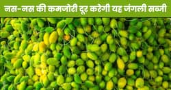 इस कड़वी-सी सब्जी को खाकर झटपट कम होगा कोलेस्ट्रॉल और शुगर लेवल, साल में केवल 2 महीने ही मिलती है बाजार में