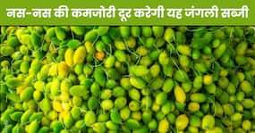इस कड़वी-सी सब्जी को खाकर झटपट कम होगा कोलेस्ट्रॉल और शुगर लेवल, साल में केवल 2 महीने ही मिलती है बाजार में