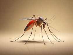 Phase 3 Clinical Trials Begin For First-Ever Indigenous Dengue Vaccine