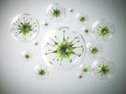 5 Essential Tips To Prevent Monkeypox Virus As Cases Surge Worldwide