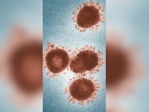 Mpox Virus Prevention Measures: 6 Tips To Protect Yourself From Deadly Mpox Virus