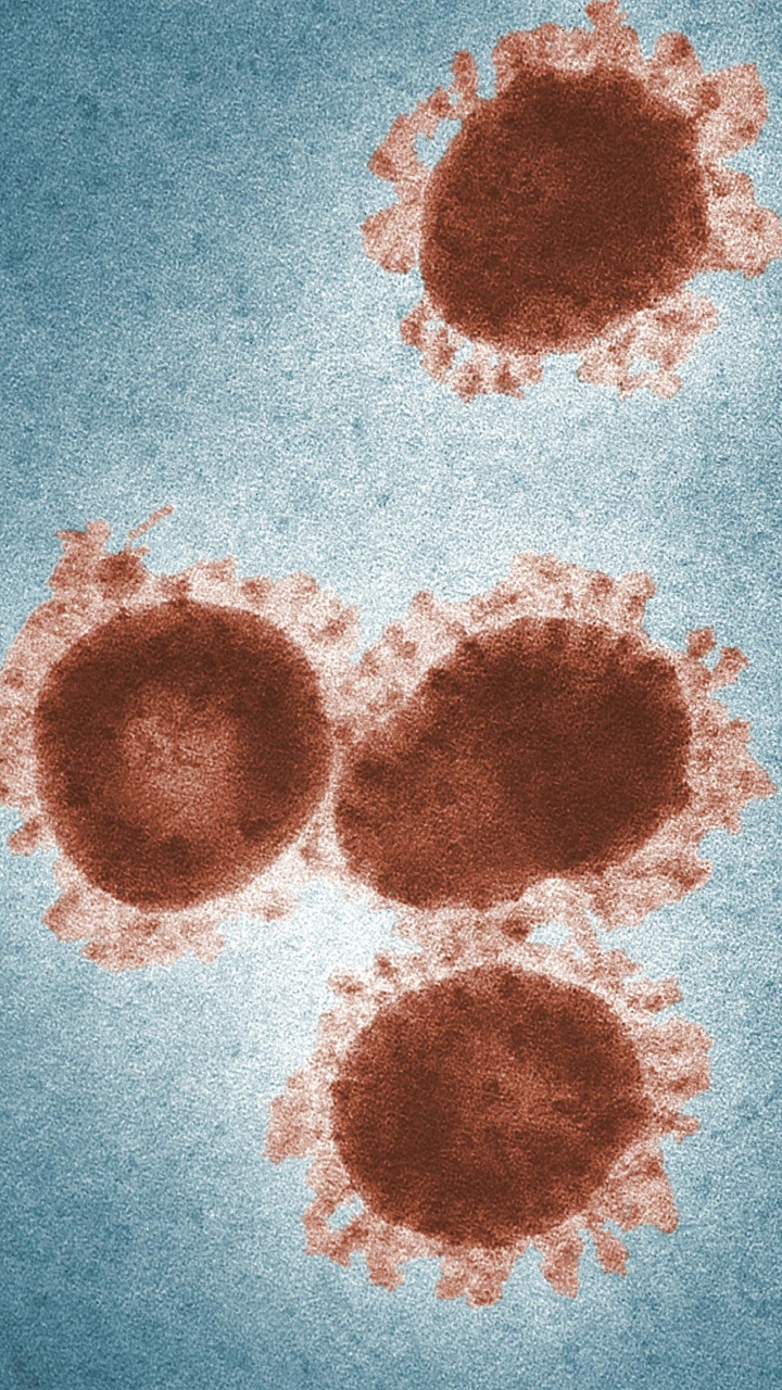 Mpox Virus Prevention Measures: 6 Tips To Protect Yourself From Deadly Mpox Virus