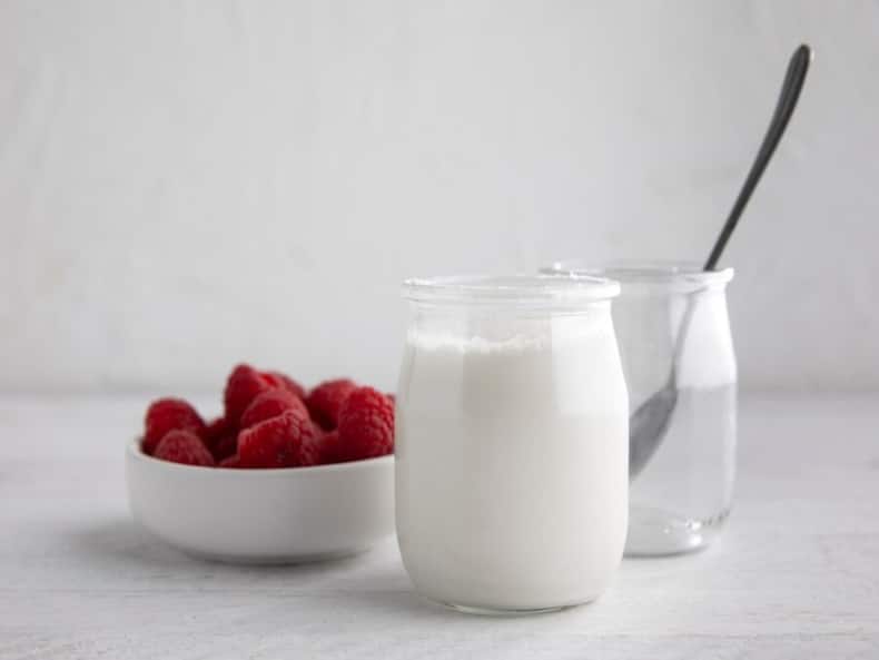 What Makes Plain Yogurt An Incredibly Nutritious Food? Know About These 7 Health Benefits