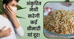 कोलेस्ट्रॉल से डायबिटीज तक एक साथ इन 5 बीमारियों को दूर करेगी अंकुरित मेथी, जानें इसके फायदे