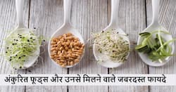 डाइट में अंकुरित फूड्स को शामिल करने से मिलेंगे 5 जबरदस्त फायदे, आज ही जान लें इनके बारे में