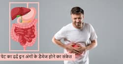 पेट में होने वाला ये सामान्य दर्द हो सकता है इन 5 जरूरी अंगों के डैमेज होने का संकेत, आप भी न करें गलती