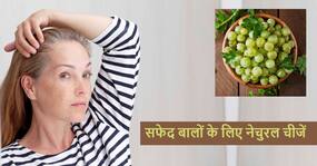 उम्र से पहले ही सफेद बाल देने लगे टेंशन, महंगे डाई और कलर छोड़िए इस्तेमाल किजिए ये नेचुरल चीजें उम्र से पहले ही सफेद बाल देने लगे टेंशन, महंगे डाई और कलर छोड़िए इस्तेमाल किजिए ये नेचुरल चीजें