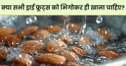 खाने से पहले इन ड्राई फ्रूट्स को भिगोना ना भूलें, वर्ना फायदे की जगह होगा नुकसान