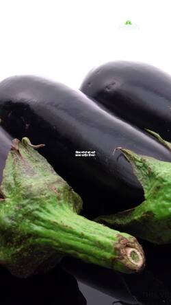 EggPlant Side Effects
