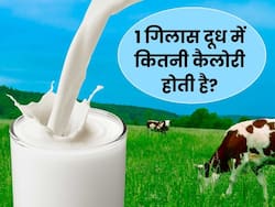1 गिलास दूध में कितनी कैलोरी होती है? जानिए डायटीशियन से इसके पोषक तत्व