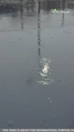 Dengue Prevention Tips