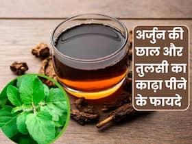 अर्जुन की छाल और तुलसी का काढ़ा पीने से होते हैं ये 5 फायदे, जानिए पीने सा सही तरीका