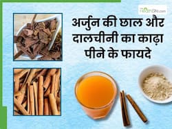 अर्जुन की छाल और दालचीनी का काढ़ा पीने से ये 5 परेशानियां होती हैं दूर, जानिए इसे बनाने का सही तरीका