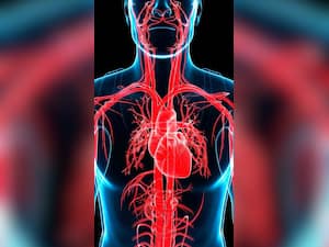 दिल की बंद नसों को खोलने के लिए खाएं ये 7 सुपरफूड्स