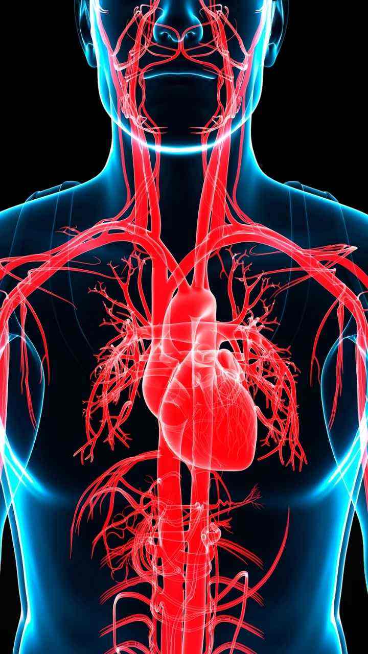 दिल की बंद नसों को खोलने के लिए खाएं ये 7 सुपरफूड्स