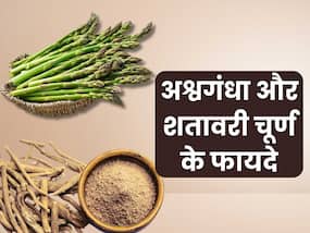 अश्वगंधा और शतावरी चूर्ण का सेवन करने से होते हैं ये 5 फायदे, जानिए इस्तेमाल का तरीका