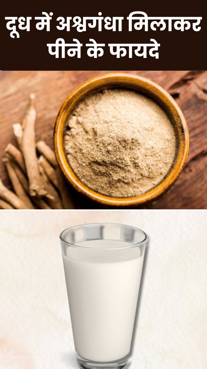 दूध में अश्वगंधा मिलाकर पीने से दूर होंगी ये 8 समस्याएं