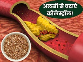 नसों में जमा हो रहे लसलसे पीले फैट को कम करे अलसी, LDL Cholesterol घटाने के लिए इस तरह करें सेवन नसों में जमा हो रहे लसलसे पीले फैट को कम करे अलसी, LDL Cholesterol घटाने के लिए इस तरह करें सेवन