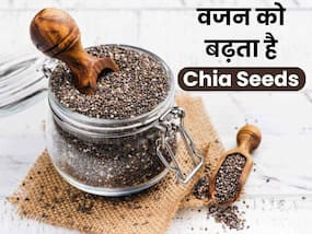 वजन बढ़ाने के लिए Chia Seeds है बेस्ट फूड, इन 7 तरीकों से करें सेवन वजन बढ़ाने के लिए Chia Seeds है बेस्ट फूड, इन 7 तरीकों से करें सेवन