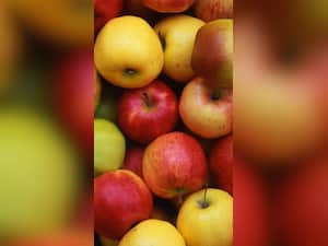 रोज सुबह खाली पेट सेब खाने के 8 फायदे