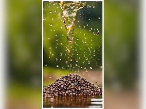 अलसी का सेवन करने से मिलते हैं ये 8 फायदे