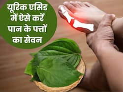 यूरिक एसिड में इन 3 तरीकों से करें पान के पत्तों का सेवन, दर्द और सूजन की परेशानी होगी कम
