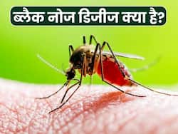 गर्भवती को हुआ चिकनगुनिया और डिलीवरी के 15 दिन बाद बच्ची को हुई ब्लैक नोज डिजीज, जानिए क्या है ये बीमारी