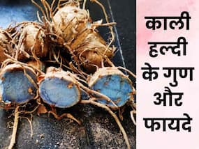 पीली नहीं काली हल्दी खरीद लाएं घर, हेल्थ के लिए इन तरीकों से है फायदेमंद