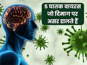5 घातक वायरस जो सीधा दिमाग पर करते हैं अटैक, तीसरा वाला है सबसे खतरनाक