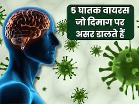 5 घातक वायरस जो सीधा दिमाग पर करते हैं अटैक, तीसरा वाला है सबसे खतरनाक