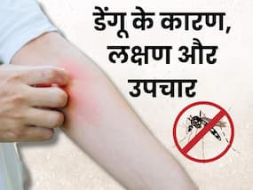 पिछली बार की तुलना में तेजी से फैल रहा है डेंगू, जानें क्या है लक्षण और कैसे करें बचाव