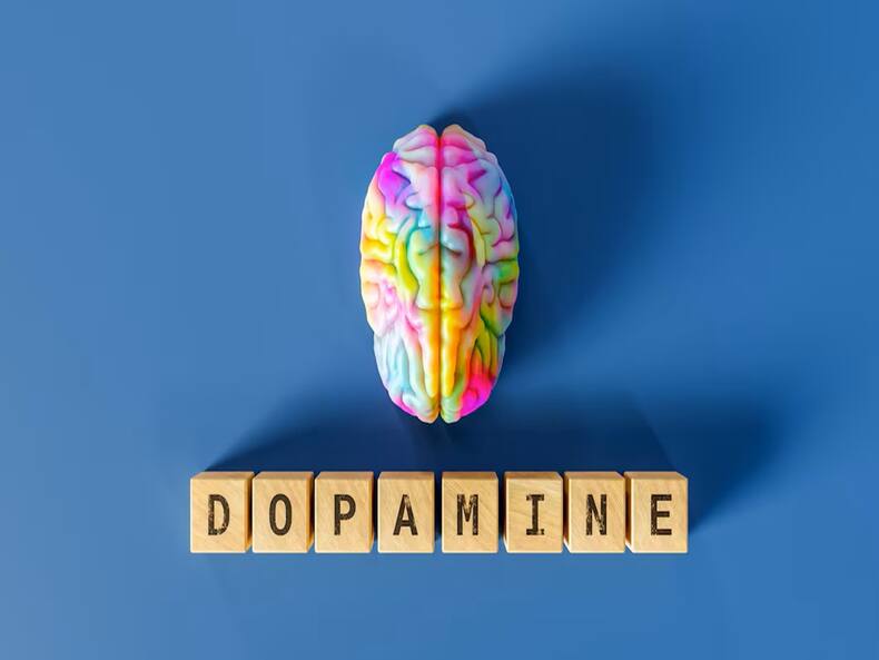 How To Hack These 5 Brain Chemicals That Can Elevate Your Mood?