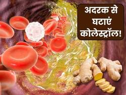 नसों में जमा बैड कोलेस्ट्रॉल को पिघलाकर बाहर निकाल देगा अदरक, रोजाना इन 2 तरीकों से करें सेवन
