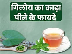 गिलोय का काढ़ा पीने से दूर होती हैं ये 5 बीमारियां, इस आसान तरीके से घर पर करें तैयार