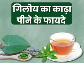 गिलोय का काढ़ा पीने से दूर होती हैं ये 5 बीमारियां, इस आसान तरीके से घर पर करें तैयार