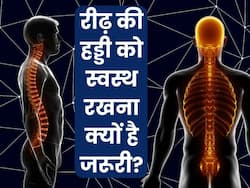 क्यों जरूरी है रीढ़ की हड्डी को हेल्दी रखना? जानिए 5 प्वाइंट्स में जरूरी बातें