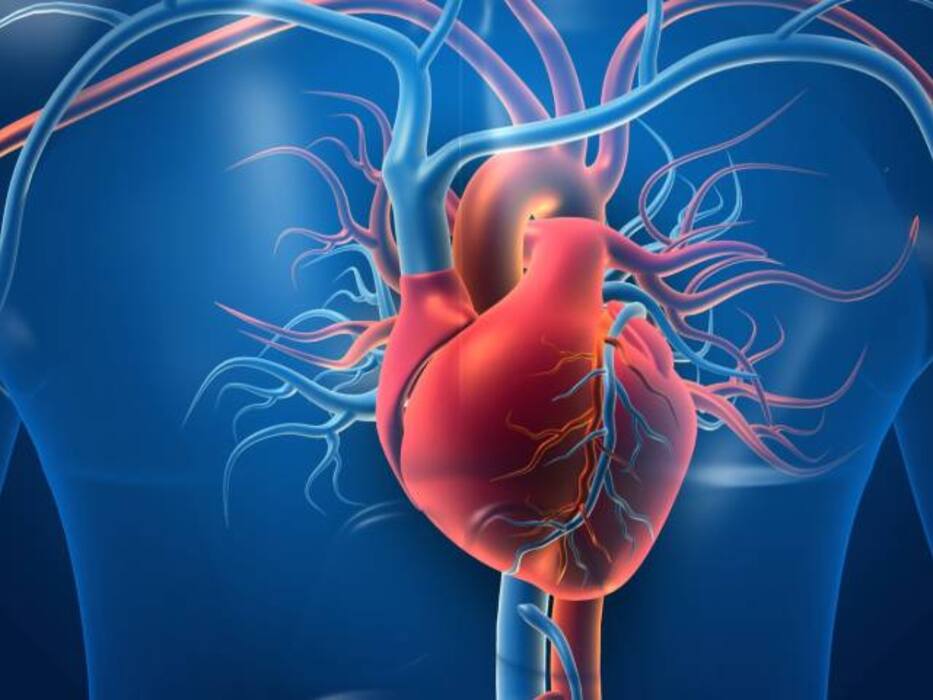 Sleep Disorders And Cardiovascular Health: What's The Connection?