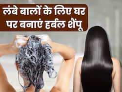 बाल को लंबा करने के लिए घर पर तैयार करें ये खास हर्बल शैंपू, महीनेभर में दिखने लगेगा रिजल्ट